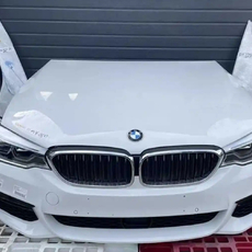 Ноускат с оптикой для BMW 5 series G30 дорестайлинг - AEShop