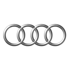 Ноускаты Audi - AEShop