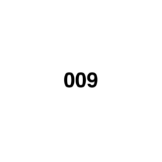 009 - AEShop