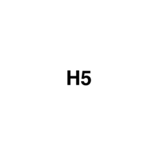 H5 - AEShop